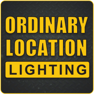 ordinary location lighting, temporary job site lighting, construction lighting, products, our products, product category, non-hazardous location, temporary work lights, icon, western technology, lighting, lights, icon, portable work lights
