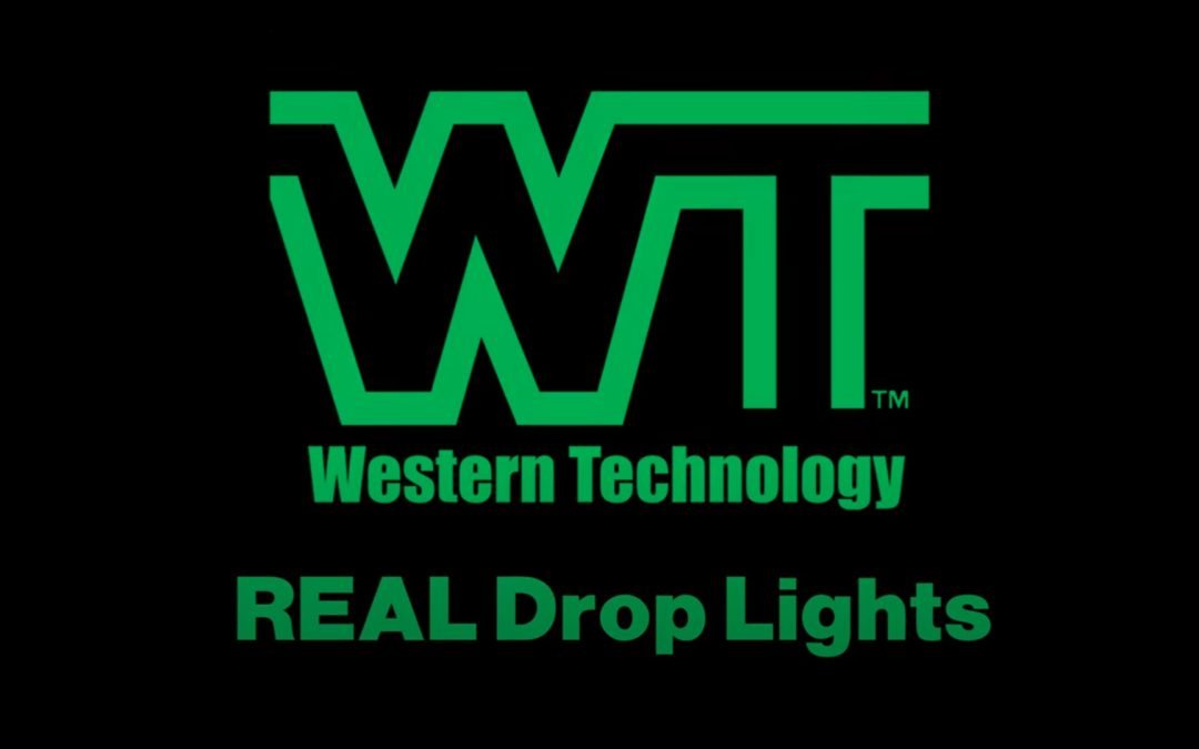 REAL Drop Lights