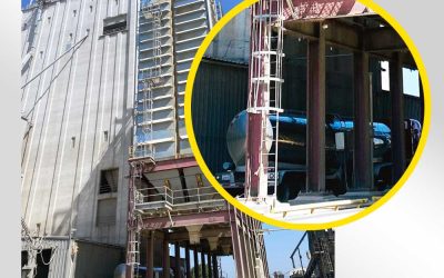Lighting the Most Demanding Industries: Built for Where It Matters Most